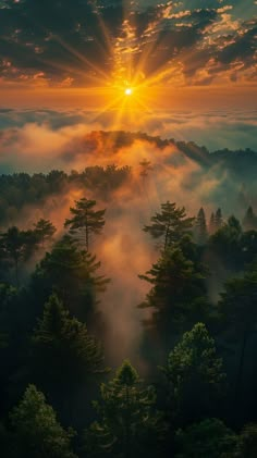 the sun shines through the clouds above trees in a forest with fog and mist