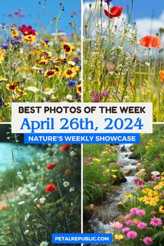 the best photos of the week from nature's weekly showcase