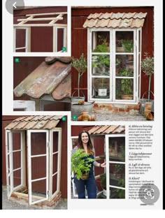 several pictures of different types of windows with plants growing in the window sills