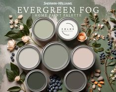 the cover of evergreen fog home paint palettes, featuring flowers and berries on a green background