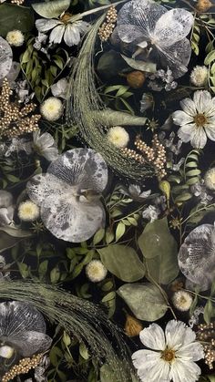 an image of flowers and leaves on a black background that looks like it is floating in the air