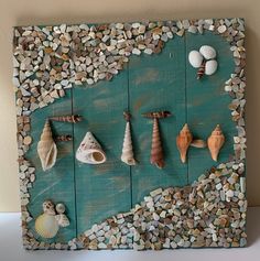 there are many shells on the wall