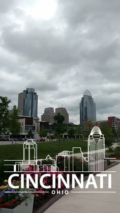 an image of the city skyline with flowers in front of it that says cincinnati oh