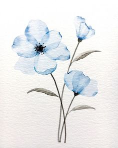 three blue flowers are shown on a white paper with watercolor paint and black ink