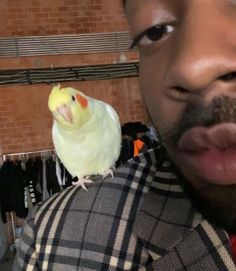 a man with a bird on his shoulder in front of him and another person behind him