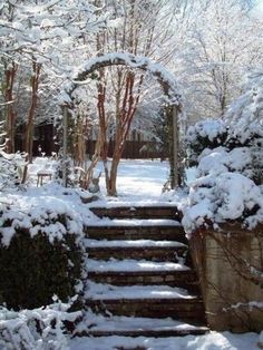 snow covered steps leading up to a gate in the middle of a garden with trees and bushes