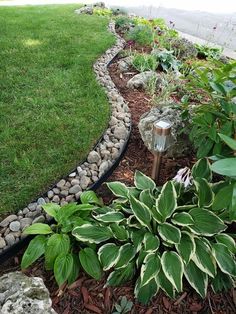 there is a garden with rocks and plants in the grass next to each other on the side of the road