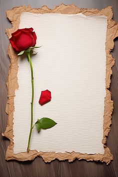 a red rose sitting on top of a piece of paper with the end torn off