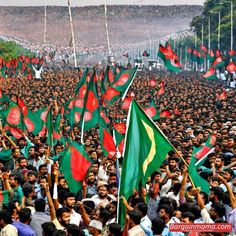 a large group of people holding flags in the air