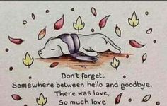 a drawing of a polar bear laying down on the ground with leaves falling around it and text that reads, don't forget somewhere between hello and goodbye there was love so much love