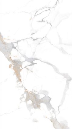 a white marble textured background with gold accents