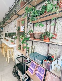 the interior of a restaurant with plants on shelves