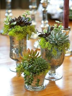 two vases filled with plants on top of a wooden table next to wine glasses