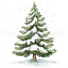 a watercolor painting of a snow covered pine tree