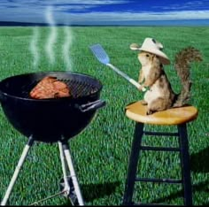 a cat sitting on a stool in front of a bbq grill with some food