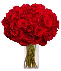 a vase filled with red roses on top of a table