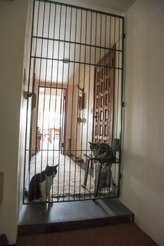 a cat is sitting in front of a gated entryway to a room with an open door