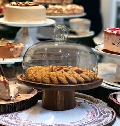 high quality wood cake stand with a glass dome for cakes, pastries, store fronts, display purposes Wooden Cake Stand, Cakes Pastries, Wooden Cake Stands, Wood Cake Stand, Dessert Presentation, Dessert Spread, Wood Cake, Dehydrated Fruit, Glass Cake Stand