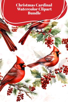 Step into a world of artistic freedom with our Christmas Cardinal Watercolor Clipart Bundle. These versatile, high-quality images are perfect for crafting, scrapbooking, or even designing your own Christmas cards. The vibrant colors and intricate details are guaranteed to make any project stand apart, making this bundle a must-have for the festive season.