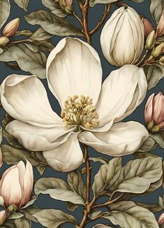 a large white flower on a blue background