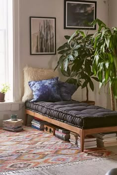 a living room with a couch, potted plant and pictures on the wall above it