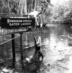 a man is in the water with his feet up as he jumps into the river