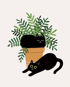 two black cats sitting on top of a potted plant with green leaves in it