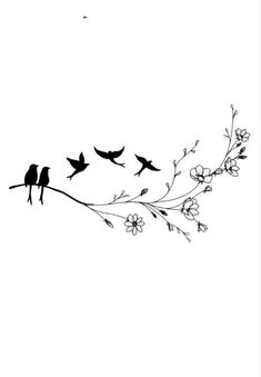 Tattoos | Ideas 🖤🐦 | Facebook Small Tattoos For Collar Bone, Bird Collar Bone Tattoo, Bird Collar, Tattoos For Women Small Meaningful, Bone Tattoo, Branch Tattoo, Bird Tattoo, Collar Bone Tattoo, Spine Tattoos