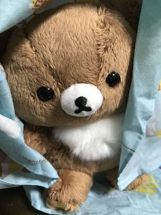 a brown teddy bear sitting inside of a blue bag