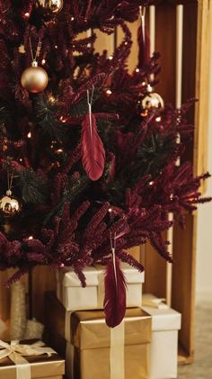 a christmas tree with presents under it and a red feather ornament hanging from the top