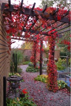 an outdoor garden with lots of plants and flowers on the side of the building,