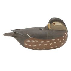 Wood Duck Hen Decoy by William Oler Hunting & Wildlife Decoys Atlantic Rancher Company Norfolk Broads, Wood Duck, Beach Haven, Duck Decoys, Wood Ducks, Glass Eyes, Hen, Carving, Paint