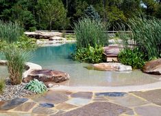 a small pond surrounded by rocks and plants