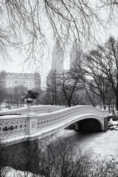 a black and white photo of a bridge in central park with snow on the ground