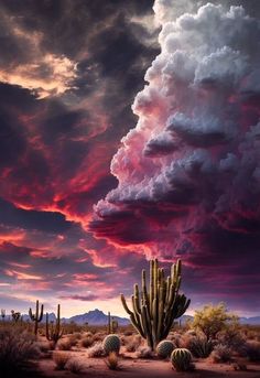 the sky is filled with clouds and some cacti in the desert at sunset