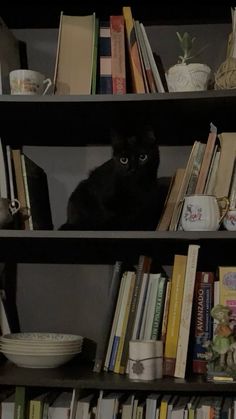 a black cat sitting on top of a bookshelf filled with lots of books