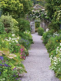 a garden with lots of flowers and plants growing on the side of it's path