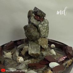 there is a bowl with rocks and shells in it