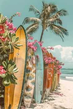 several surfboards lined up on the beach with pink flowers and palm trees in the background