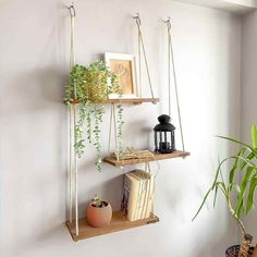 hanging shelves with plants and books on them