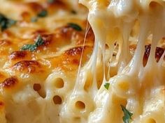 a close up of a piece of pasta with cheese and spinach sprinkled on it