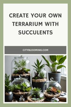 Succulents arranged in decorative glass terrariums and planters. Lush Aesthetic, Vertical Container Gardening, Diy Patio Cover, Diy Succulent Terrarium, Indoor Oasis, Balcony Gardening, Outdoor Renovation, Bring Nature Indoors, Plant Terrarium