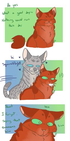 three different types of cats with green eyes