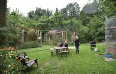 several people are standing in the yard with picnic tables