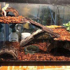 a fish tank filled with lots of wood chips and other things in the bottom half