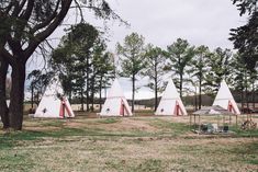 several teepees are set up in the grass