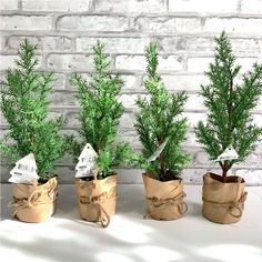 three small potted trees sitting in front of a brick wall