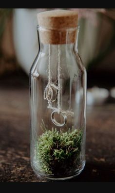 a glass bottle filled with moss sitting on top of a table