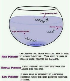 Porosity Test, Hair Porosity Test, Membentuk Alis, High Porosity Hair, Beauty Science, Natural Hair Care Tips, Hair Regimen, Hair Porosity