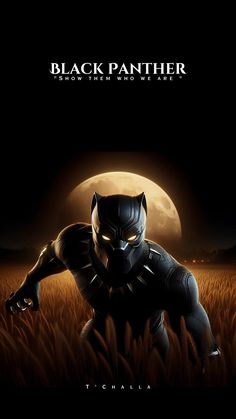 the black panther movie poster is shown in front of a full moon and grass field